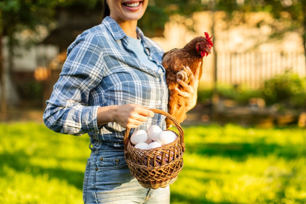 Homesteading with Chickens: It’s Not Just About the Eggs